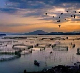 伊犁伴游中国网景点丰富(旅游网介绍)