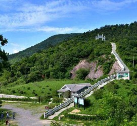伊犁休闲游(休闲旅游的含义及特点)