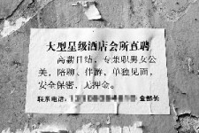 伊犁珠海伴游雇用网(珠海游览社雇用信息)