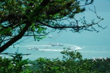 伊犁中国伴游网与你分享旅游的点滴(中国伴游网与你分享旅游的点滴是什么)