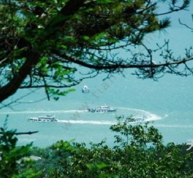 伊犁中国伴游网与你分享旅游的点滴(中国伴游网与你分享旅游的点滴是什么)