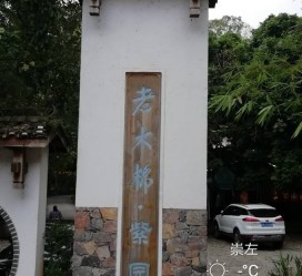伊犁关于伴游中国伴游你们伴得是什么游的信息