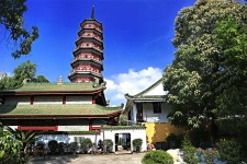 伊犁广州自由行(广州 自由行)