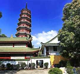 伊犁广州自由行(广州 自由行)