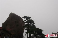 伊犁上海伴游私家陪游雇用女模(上海伴游私家陪游雇用女模特)