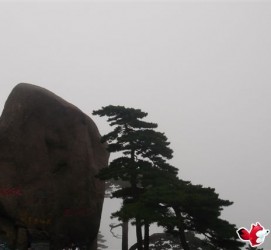 伊犁上海伴游私家陪游雇用女模(上海伴游私家陪游雇用女模特)