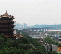 伊犁武汉游玩攻略(武汉游玩攻略ppt)