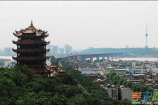 伊犁武汉游玩攻略(武汉游玩攻略ppt)