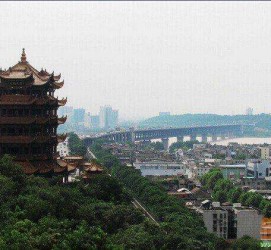 伊犁武汉游玩攻略(武汉游玩攻略ppt)