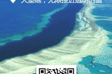 伊犁中国250家旅行社结伴游新西兰(新西兰当地旅行社)
