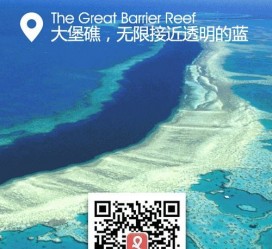 伊犁中国250家旅行社结伴游新西兰(新西兰当地旅行社)