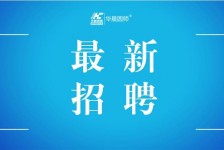 伊犁镇江伴游雇用驾驶员(镇江驾驶员雇用苍生网)