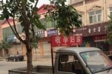 伊犁上海伴游 用伴游造句大全(5