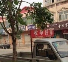 伊犁上海伴游 用伴游造句大全(5