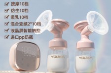伊犁奶模(奶模型)