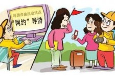 伊犁伴游是什么