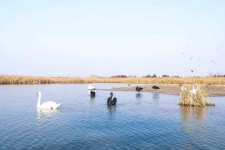 伊犁南昌附近伴游小妹兼职(1534939978姐的微信德惠市)
