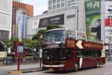 伊犁上海私人伴游 上海过年怎么玩？这些“微游”线路了解下→
