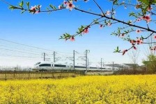 伊犁高铁游(高铁游戏下载手机版)