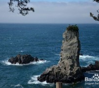 伊犁旅游全攻略(上海旅游全攻略)