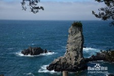 伊犁旅游全攻略(上海旅游全攻略)