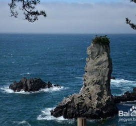 伊犁旅游全攻略(上海旅游全攻略)