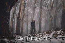 伊犁上海私人伴游 上海伴游，上海兼职伴游安全吗