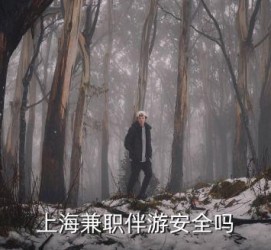 伊犁上海私人伴游 上海伴游，上海兼职伴游安全吗