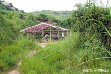 伊犁北海伴游兼职雇用信息(北海伴游兼职雇用信息大全)