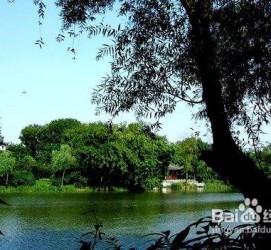伊犁西湖旅游攻略(上海到杭州西湖旅游攻略)