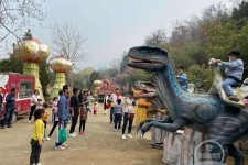 伊犁中国伴游带你打卡网红南山竹海(南山竹海网上预约)