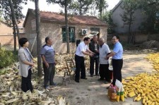 伊犁关于宋叔带老伴游中国的信息