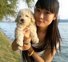 伊犁中国伴游网靠谱吗(伴游是真的吗?)