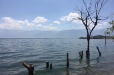 伊犁洱海旅游攻略(洱海旅游攻略自由行)