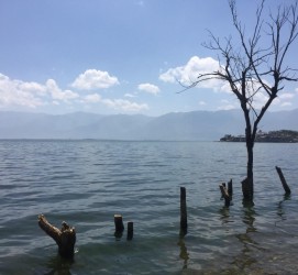 伊犁洱海旅游攻略(洱海旅游攻略自由行)