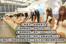 伊犁雇用旅游男伴游(北京商务酒店雇用伴游)