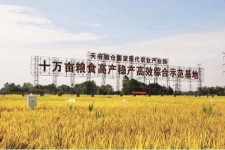 伊犁关于成都商务伴游外围雇用的信息