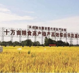 伊犁关于成都商务伴游外围雇用的信息
