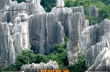 伊犁贵阳市游览社英语伴游雇用(贵阳市前十名游览社是哪几家)