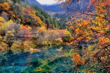 伊犁四川旅游攻略(四川旅游攻略十五日游)