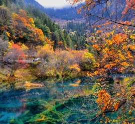伊犁四川旅游攻略(四川旅游攻略十五日游)