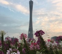 伊犁广州旅游攻略(杭州到广州旅游攻略)