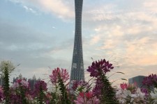 伊犁广州旅游攻略(杭州到广州旅游攻略)
