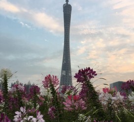 伊犁广州旅游攻略(杭州到广州旅游攻略)