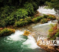 伊犁去哪里旅游好(七月八月去哪里旅游好)