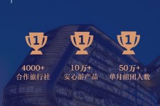 伊犁上海私人伴游 ​ “小而美”的新时代：2020年国内新跟团消费报告