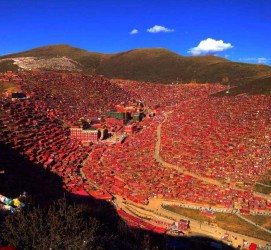 伊犁色达旅游攻略(成都到色达旅游攻略)