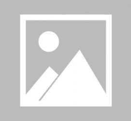 伊犁最新导游伴游雇用信息(最新导游伴游雇用信息大全)