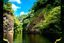 伊犁旅游报价(旅行团旅游报价)
