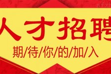 伊犁上海伴游招聘 招聘 | 浦东机场专柜销售